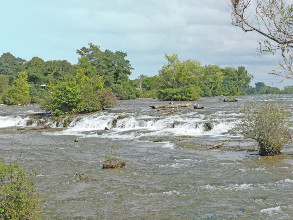 View of rapids from 3 Sisters Island. Photo: Kathleen Walls