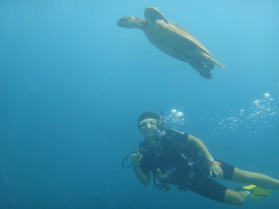 Author Carmen Ang Diving in Sipadan
