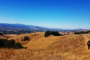 California Hike