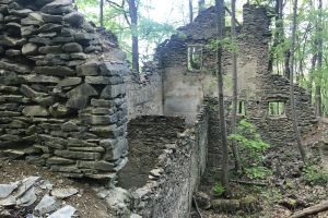 WF NY Ruins in Franny Reese State Park scaled