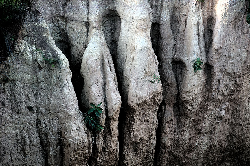 Gongoni Danga -Rock textures. Photo: Sugato Mukherjee