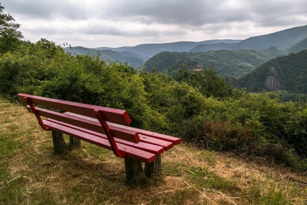 Palatinate Forest in the foreground of a bench overlooking the forest Germany