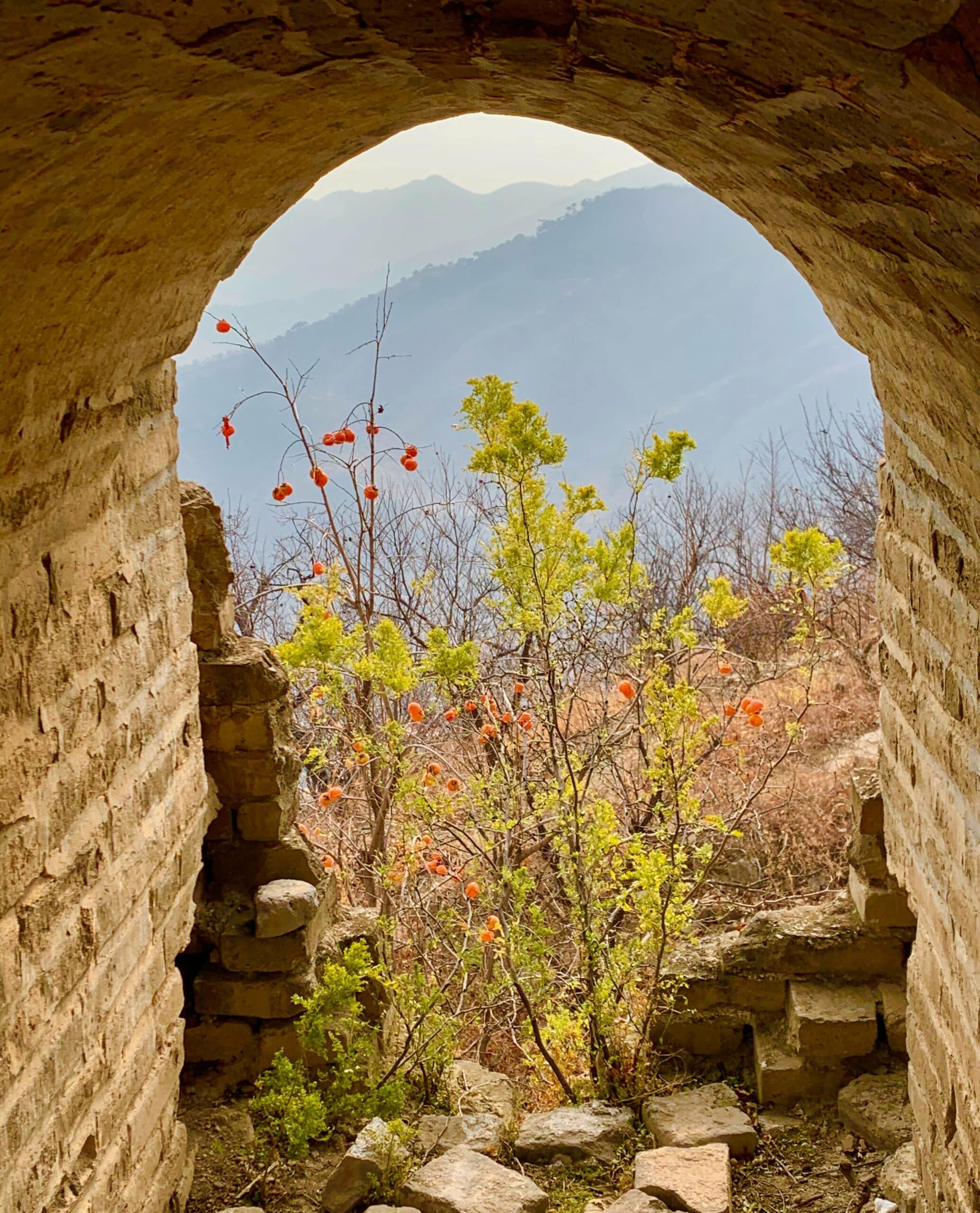 View of Beijing colors. Photo: Kirsten Harrington