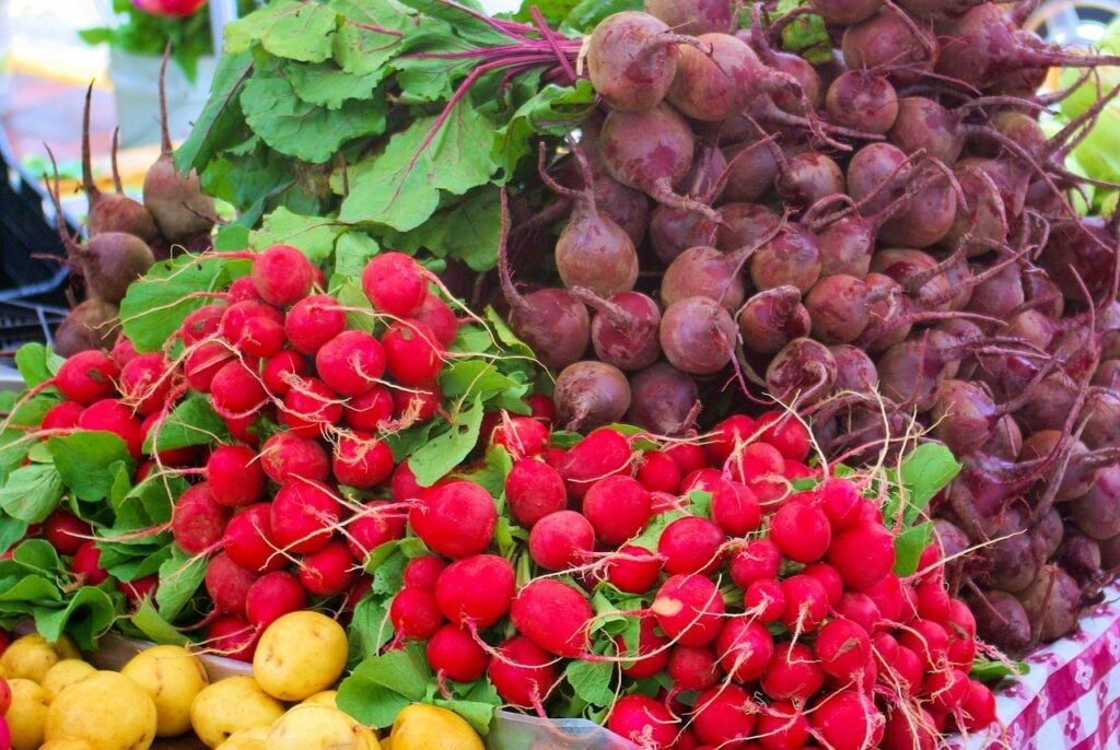 farmers market vegetables agritourism. Radishes, onions, beets and leafy vegetables displayed at a farmers market