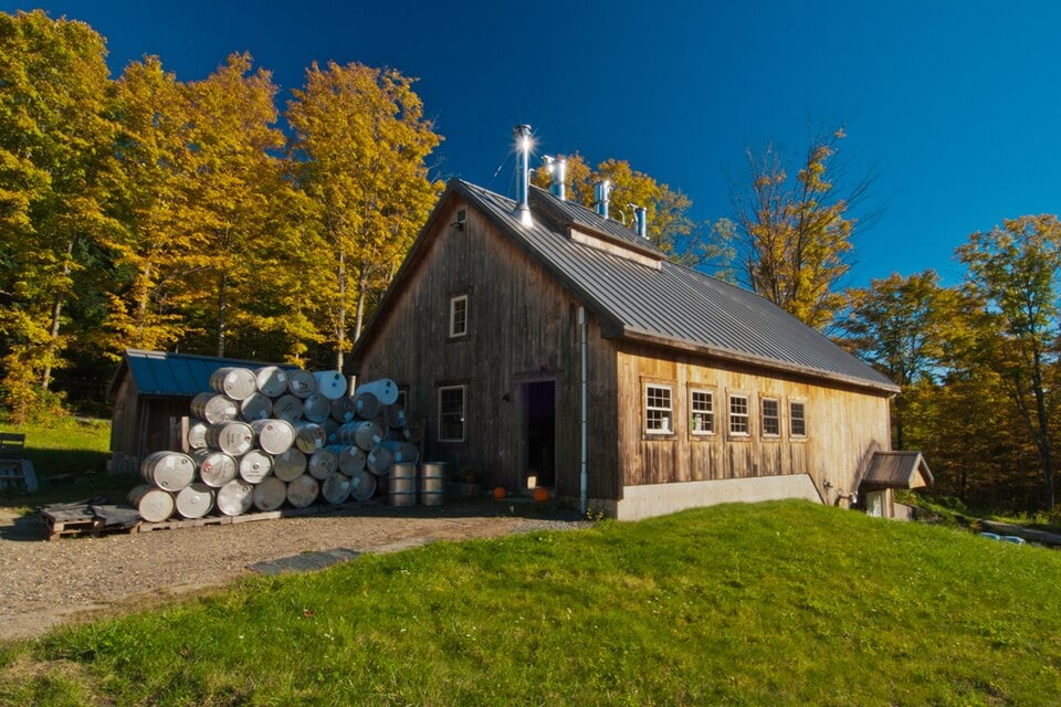vermont maple syrup producer Maple syrup producer working in Vermont