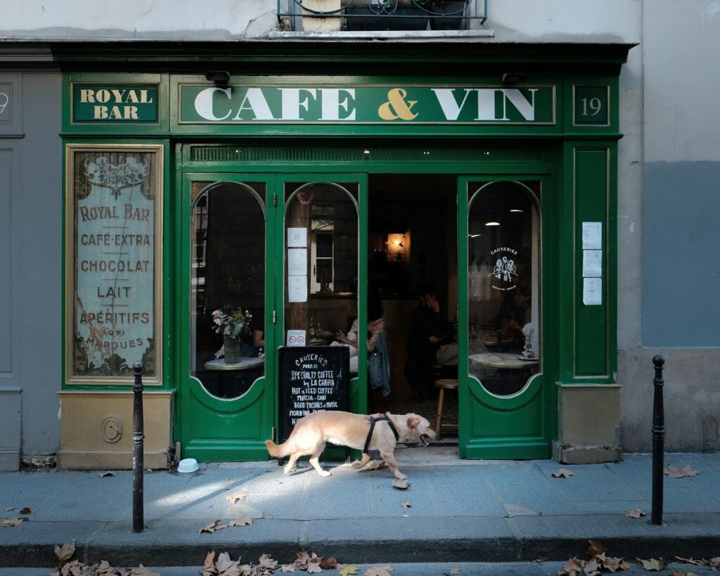 Dog entering a café in Paris, France
