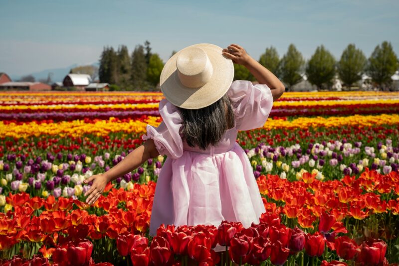 Tulip Festivals Across the Globe | World Footprints