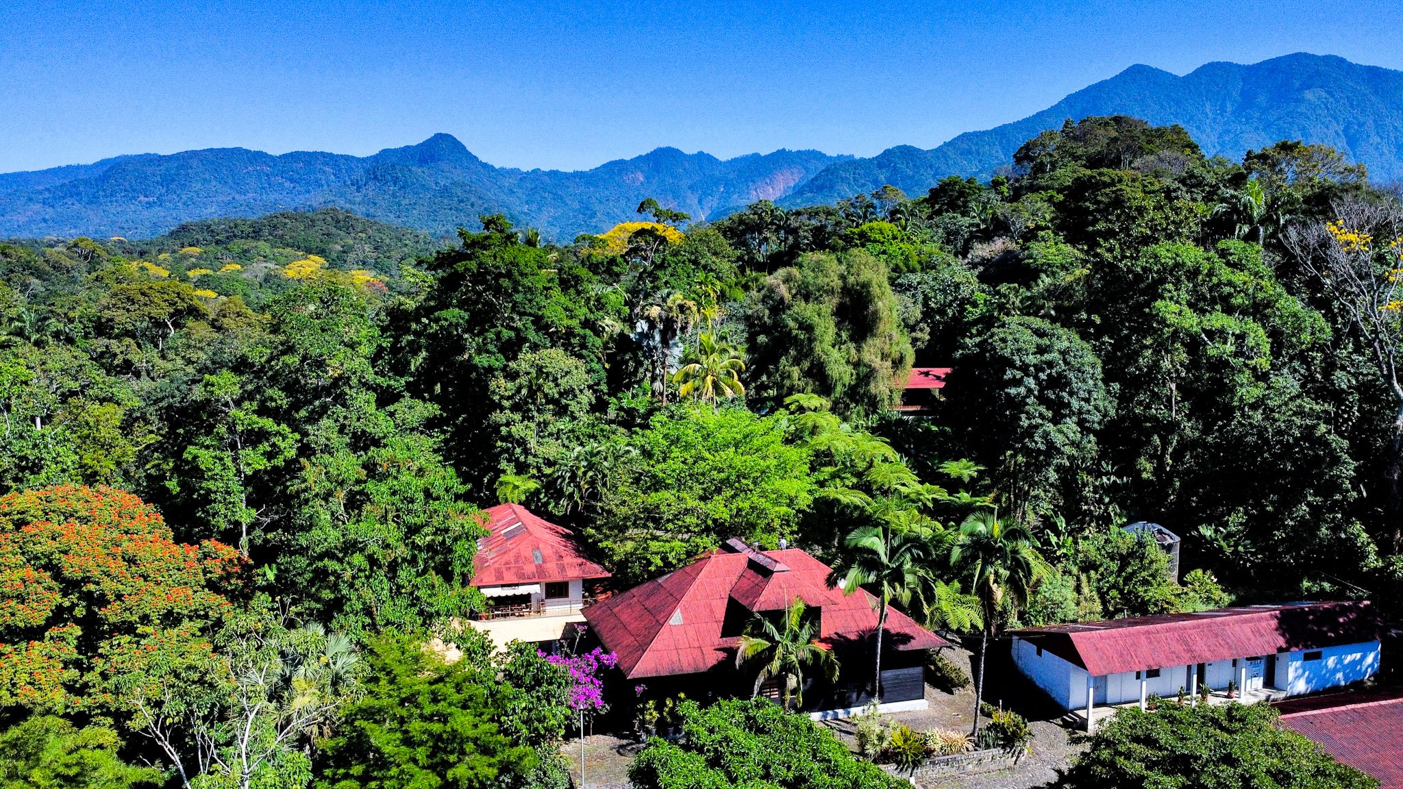 Chiapas Coffee Estates