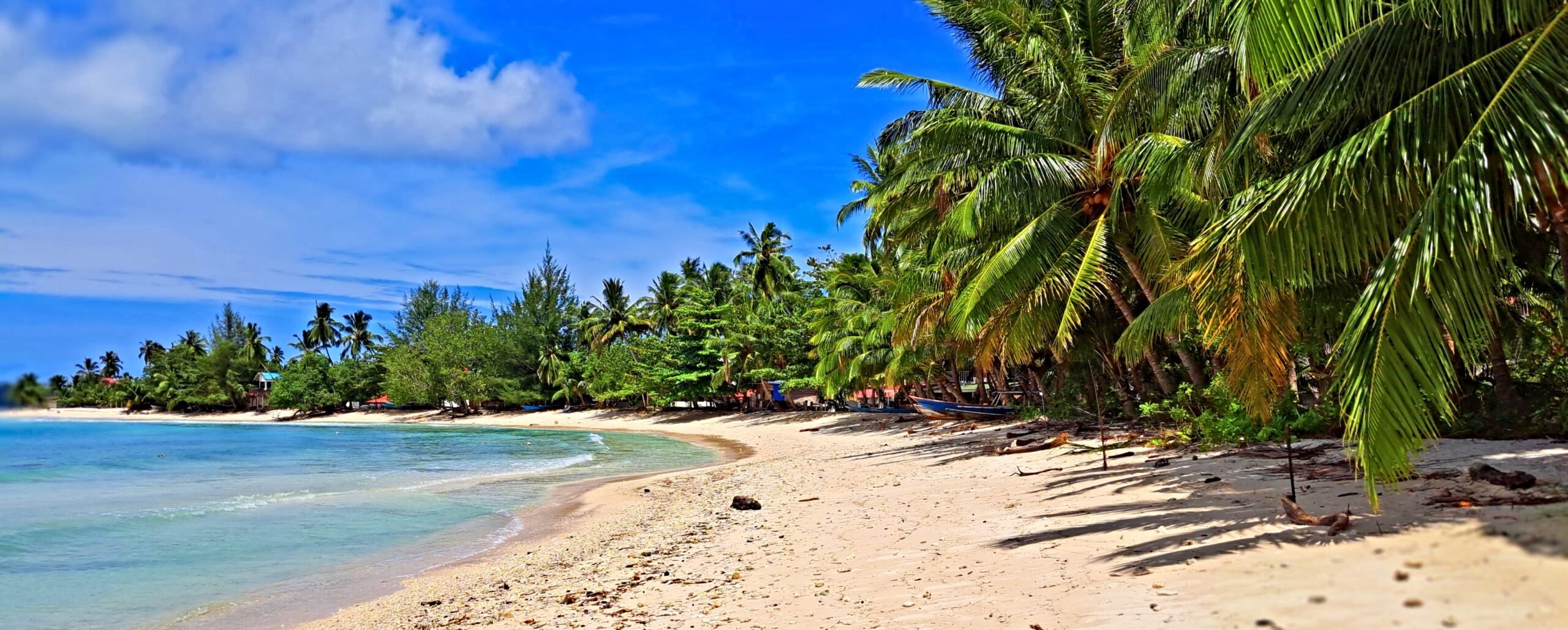 The Seussification of A Midsummer Night's Dream | The Kalamazoo Civic  Theatre, image size:2560x1029