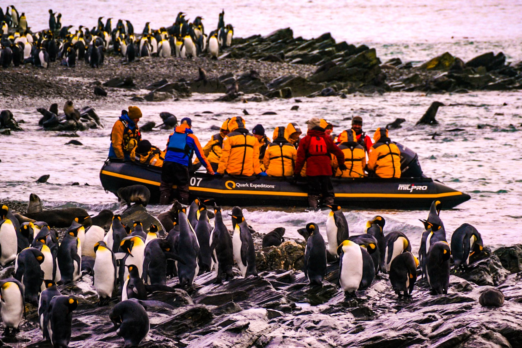 Adventure Cruises