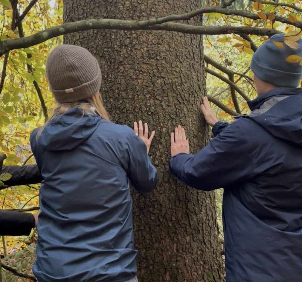Sweden Participants take part in a forest bathing session Photo Visit Skåne Sweden Cabin