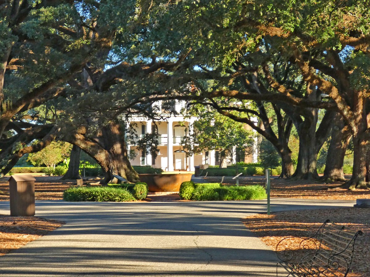 Oak Alley