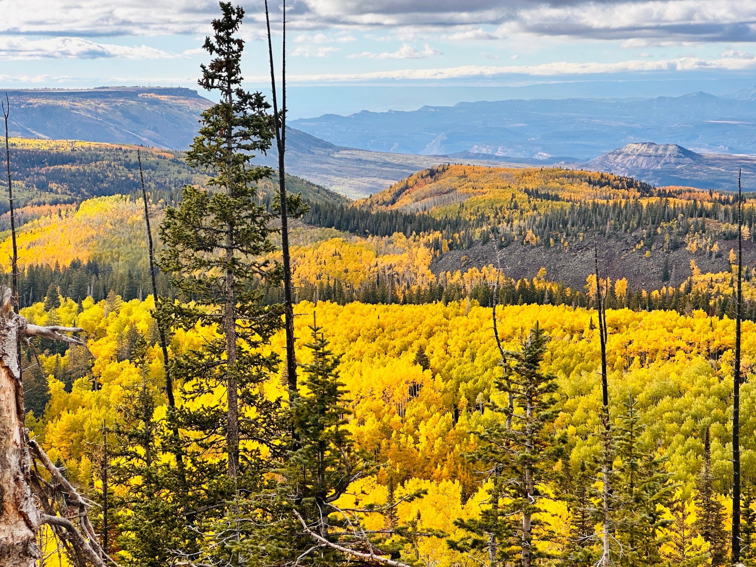 View from Grand Mesa