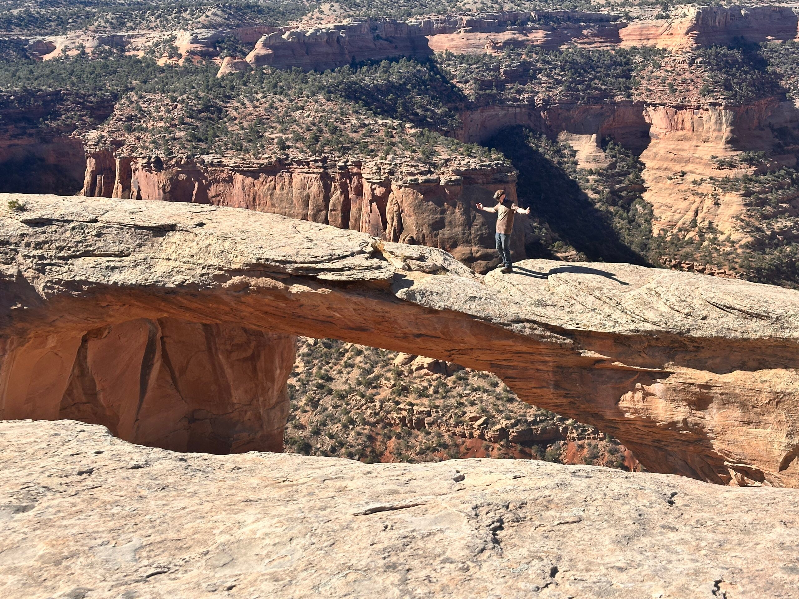 Rattlesnake Canyon's arches