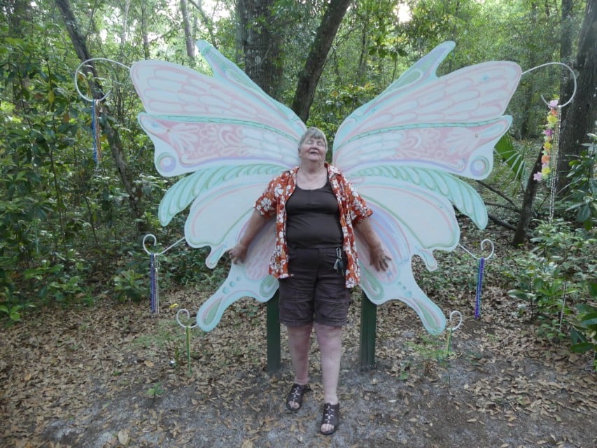 Cassadaga author at Fairy Wings in Cassadaga Cassadaga