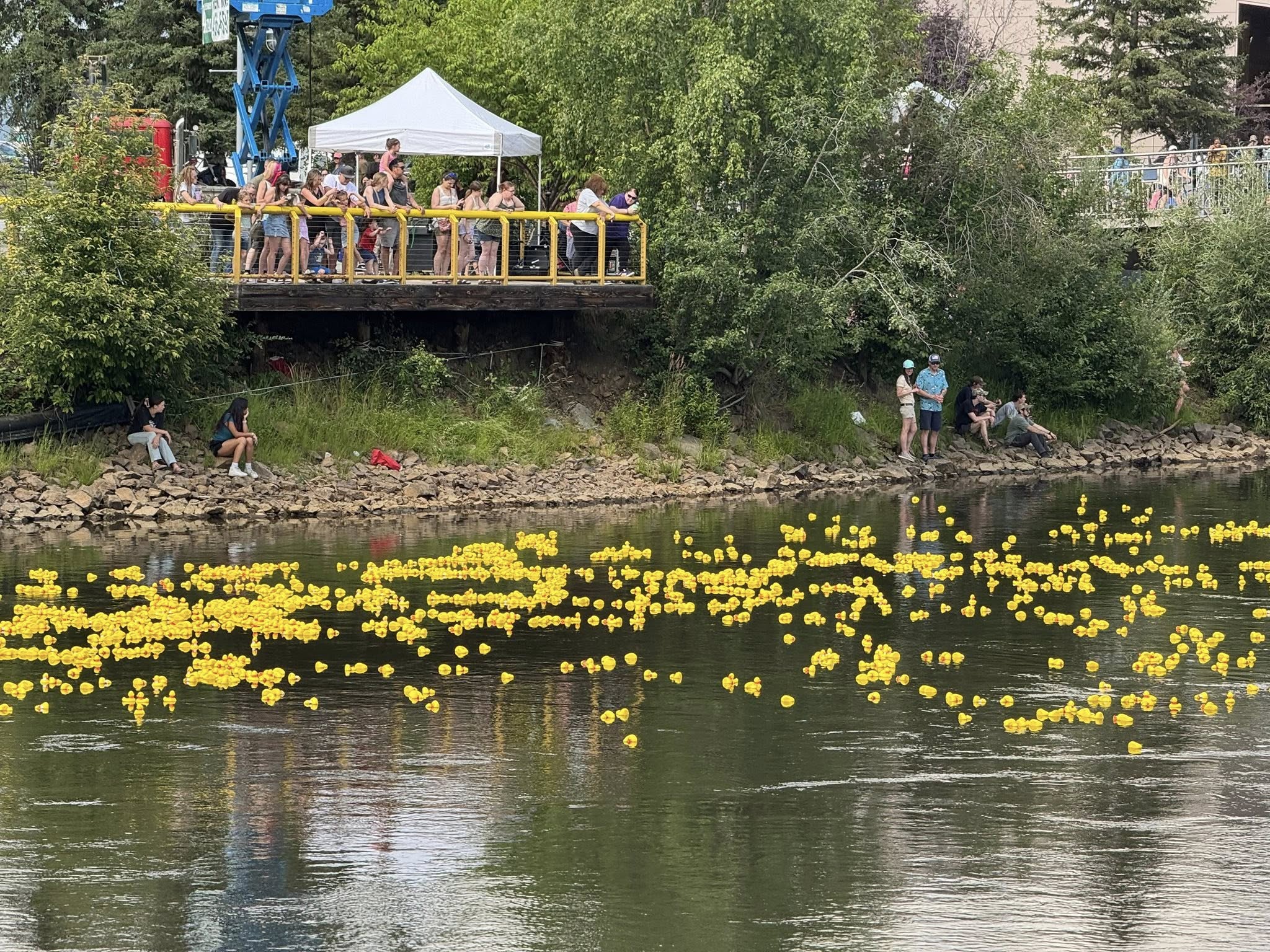 Fairbanks Rubber Duckie Race on the Chena River Fairbanks Rubber Duckie Race on the Chena River