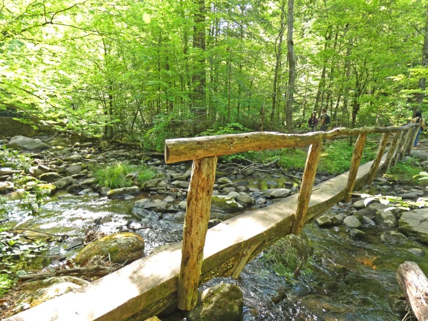 Great Smoky Mountains