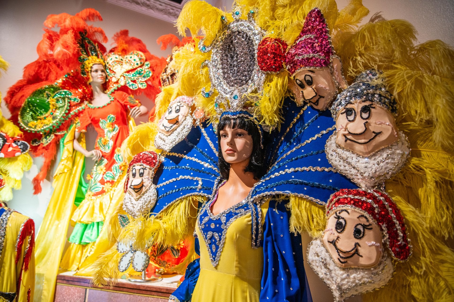 Lake Charles Costumes in Museum