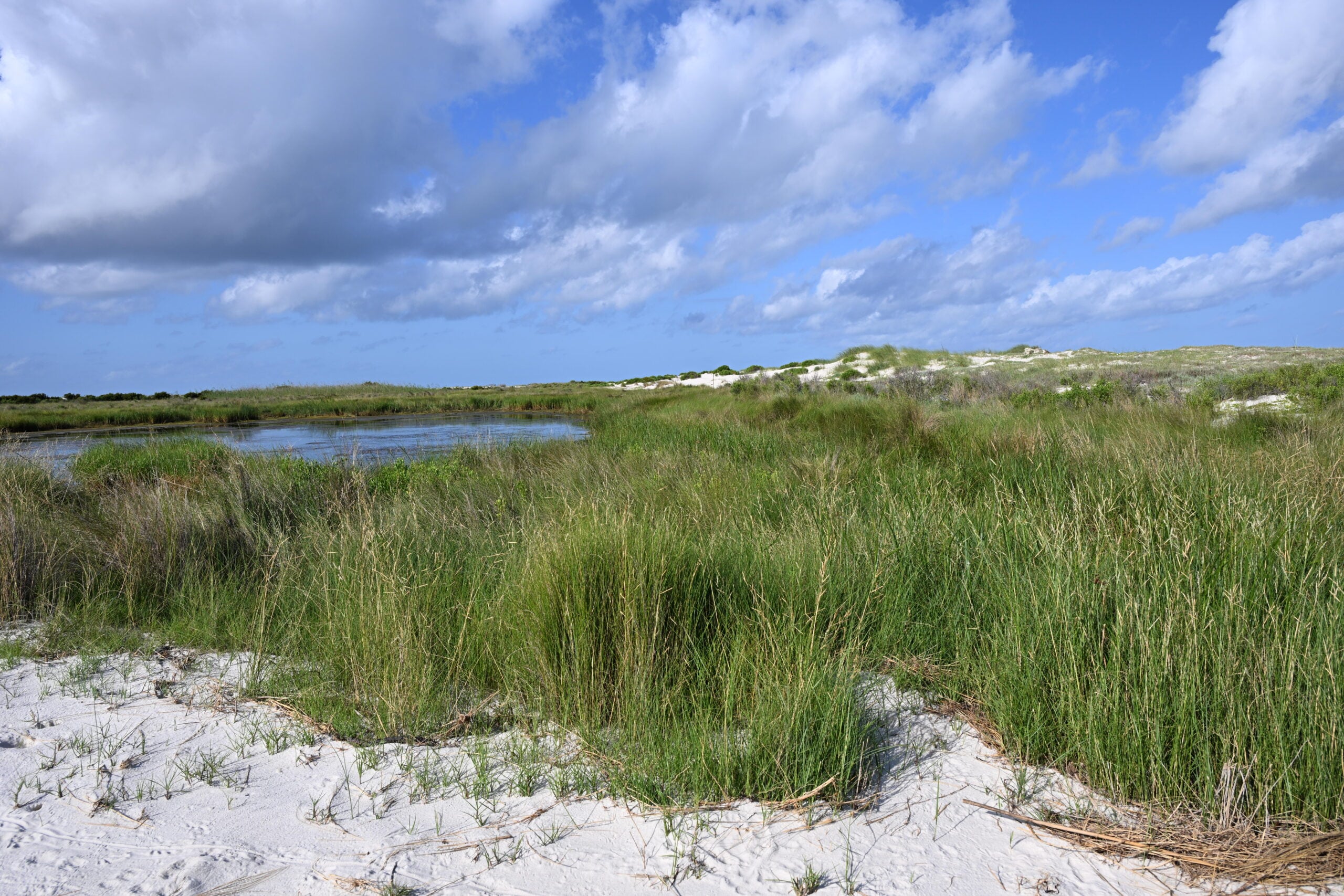 Horn Island