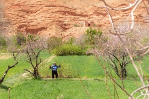 Tonya walking in a field in High Atlas Mountains