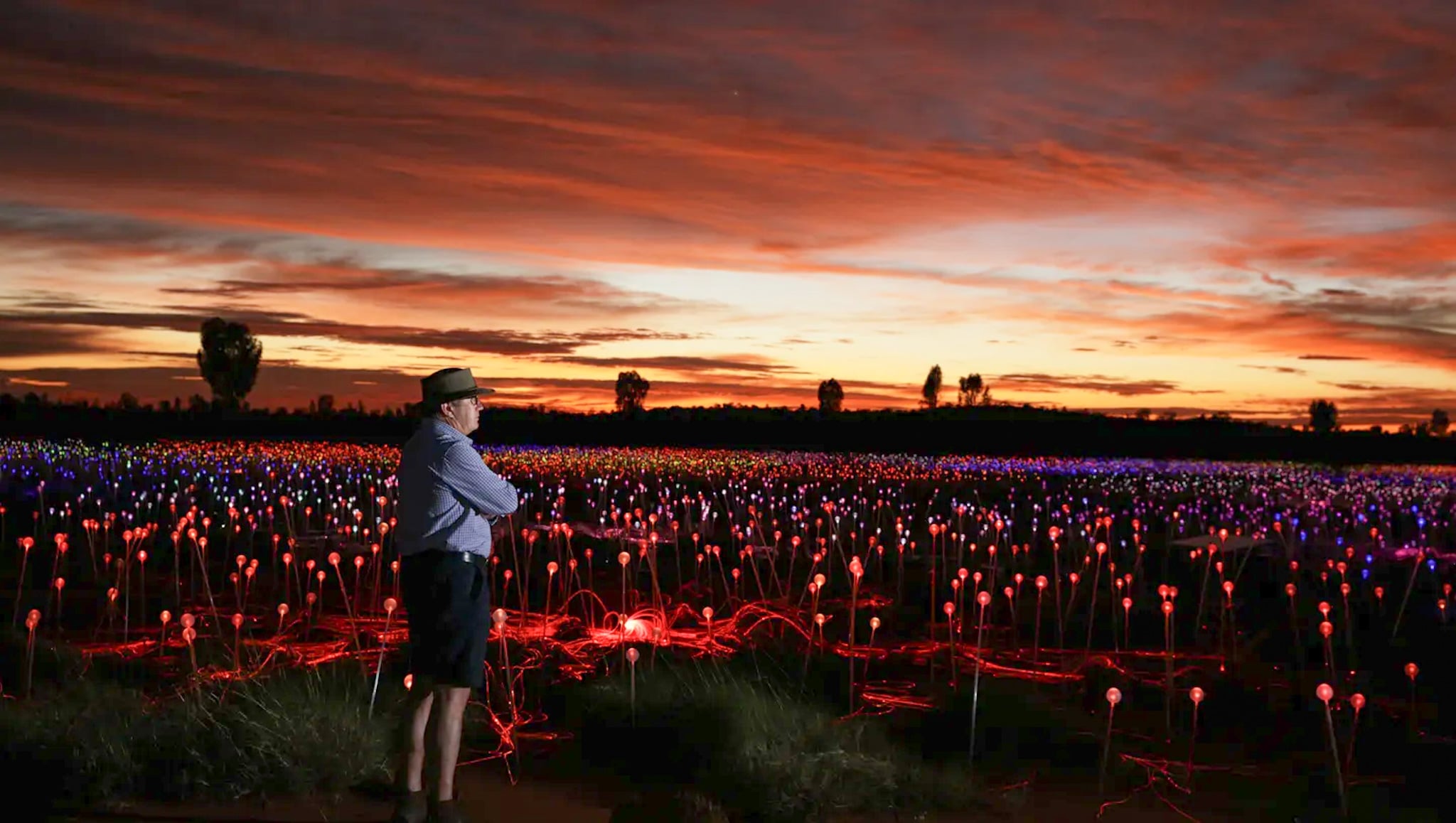 Uluru Bruce Munro's Field of Light