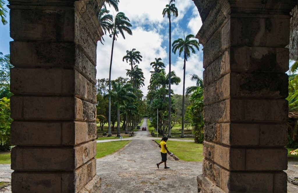 Palm-lined driveway at Codrington College seen through a coral-stone arch in Barbados